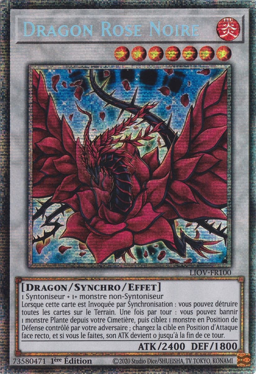 Dragon Rose Noire