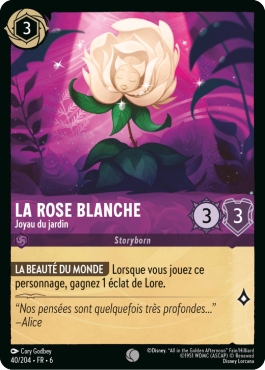 La Rose Blanche - Joyau du jardin