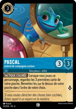 Pascal - Animal de compagnie curieux