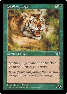 Tigre en chasse
