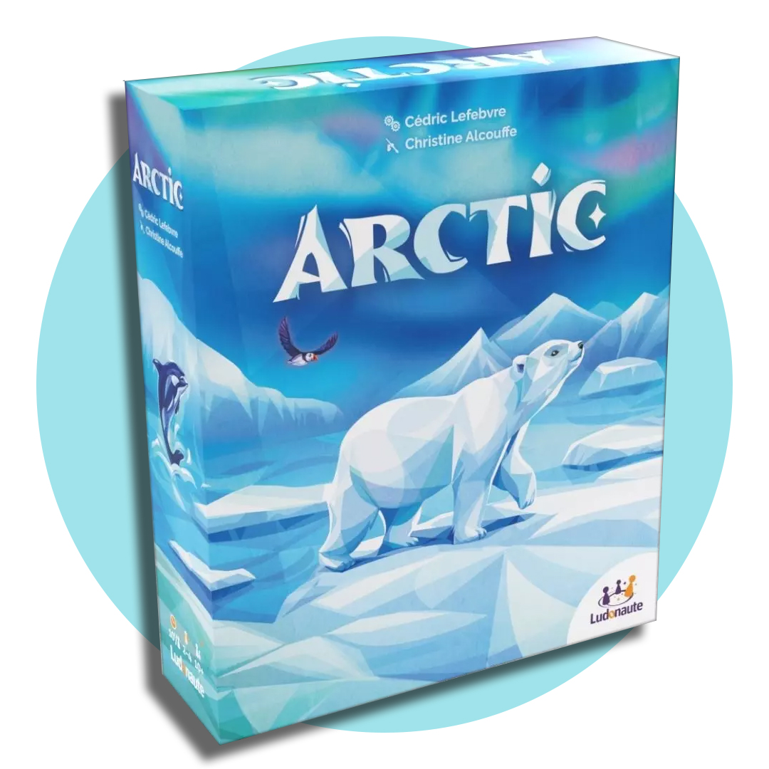 Boîte de jeu Arctic