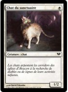 Chat du sanctuaire