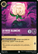 La Rose Blanche - Joyau du jardin