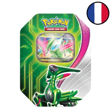 poekebox mai 2024 vert de fer ex pokemon fr 