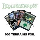 Lot de 100 terrains de base Foils Bloomburrow - Magic