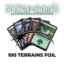 Lot de 100 terrains de base Foils Mornebrune : la Maison de l'horreur - Magic