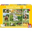 Boite de Puzzle 100 pièces - Bébés Animaux à la Ferme